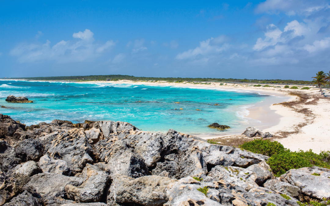 Cozumel Weather Your Ultimate Guide to when too visit Cozumel