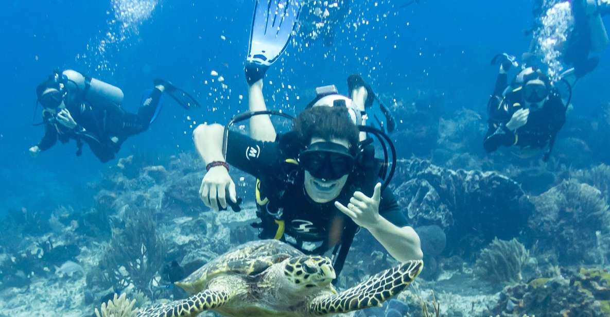 2 Tank Dive in Cozumel’s Marine National Park - Cozumel Mexico.net