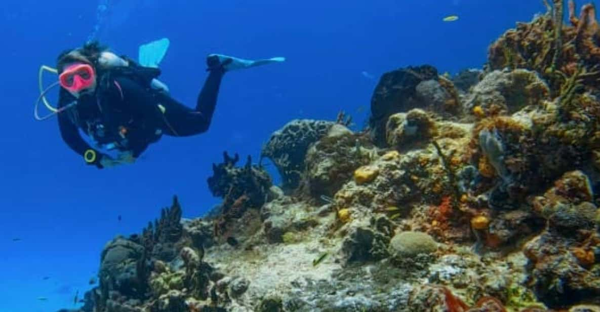 Cozumel: Discover Scuba Diving in Cozumel's Pristine Waters - Cozumel ...